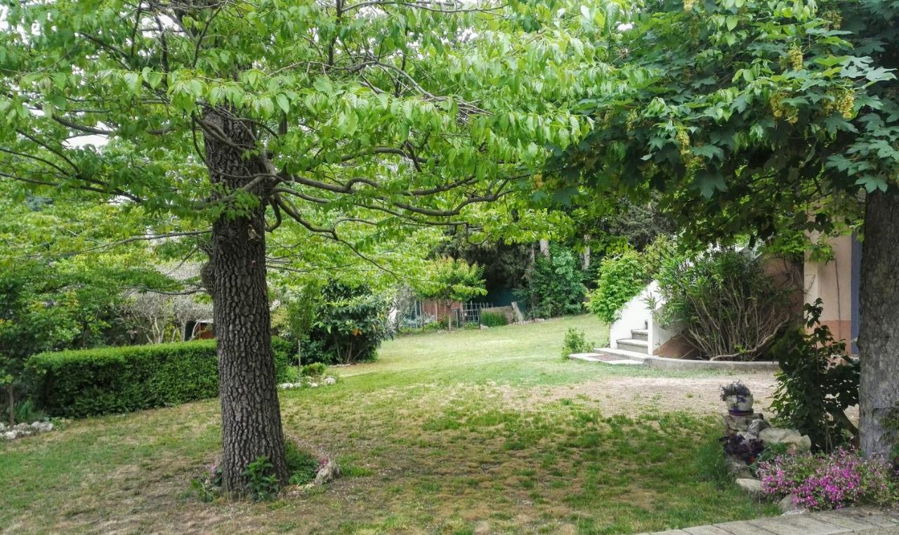 Chambres D'Hotes La Chrysalide Loriol-du-Comtat Exteriör bild